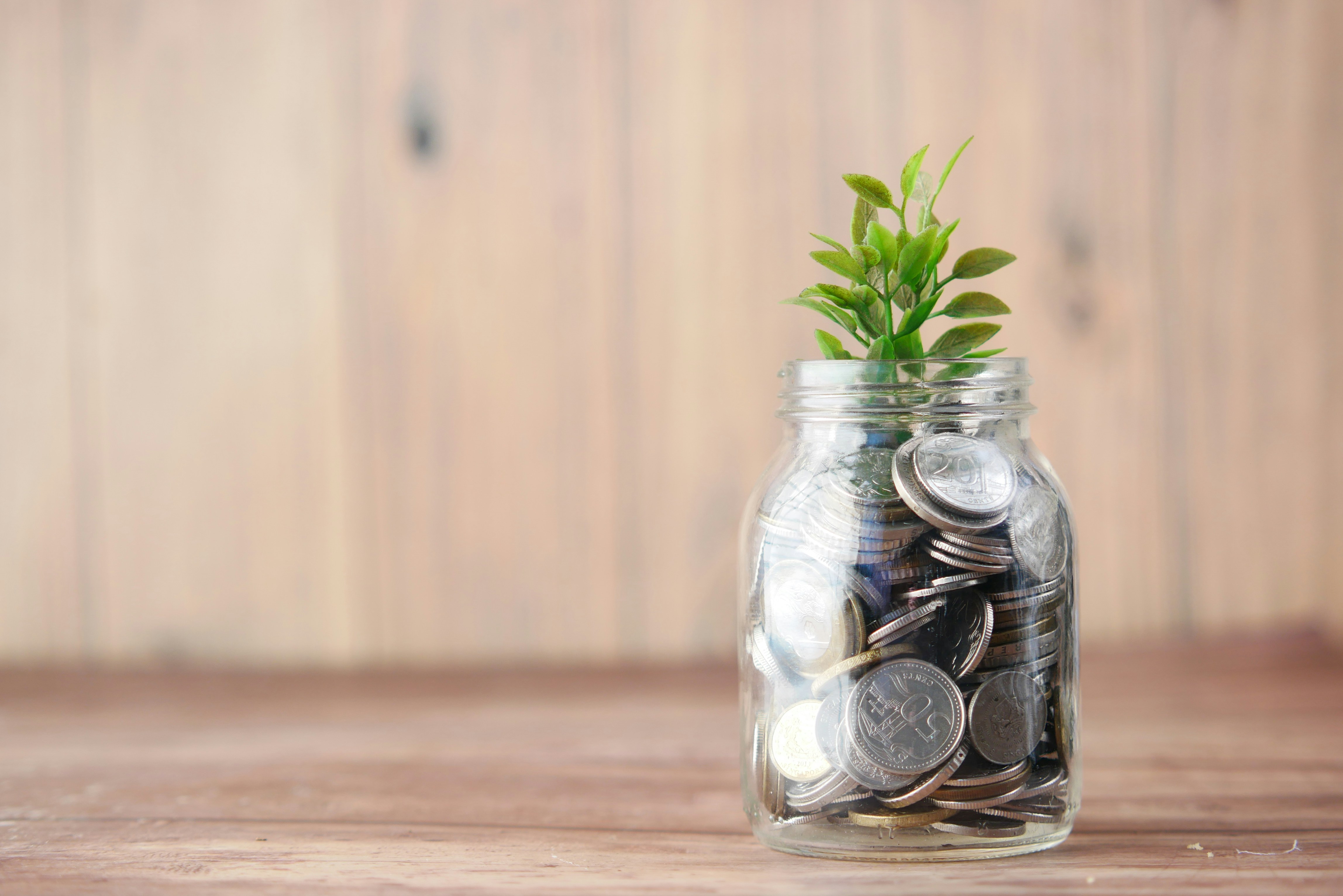 Green Leaf Group | Caribbean Advisory, Capital & Financial Services